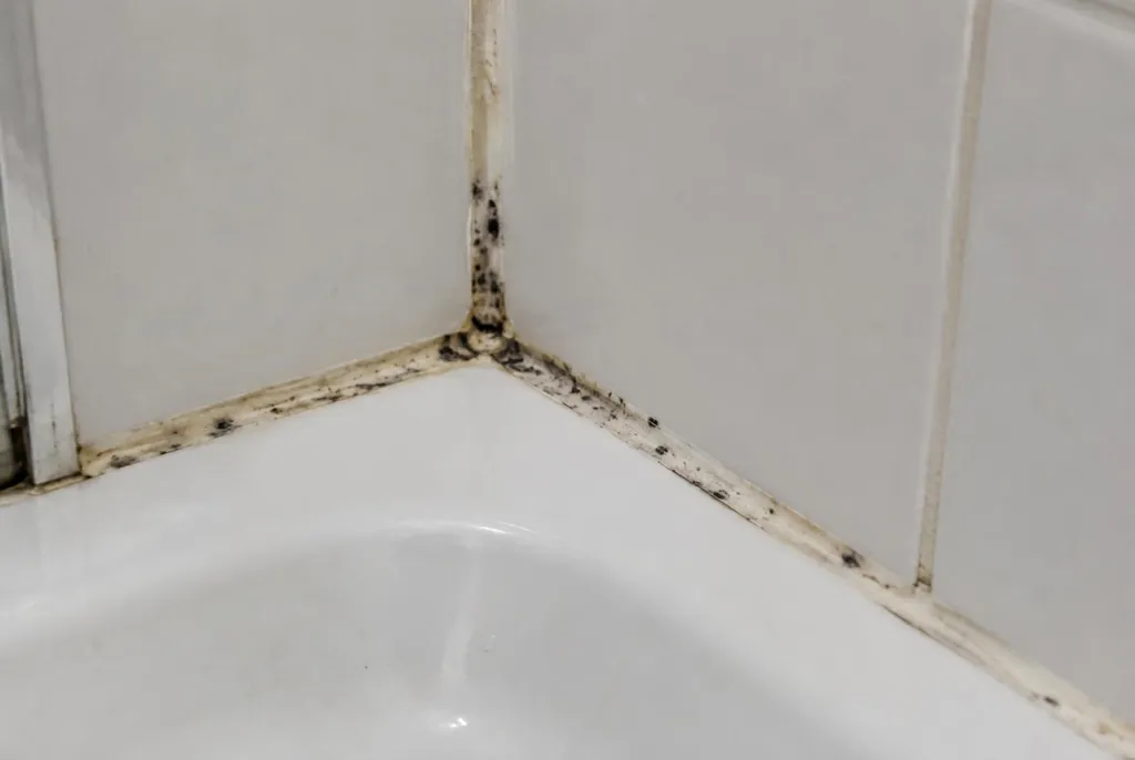 Kitbedrijf Beesd – beschimmelde kitranden